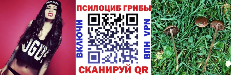 Псилоцибиновые грибы Psilocybe  Апрелевка 